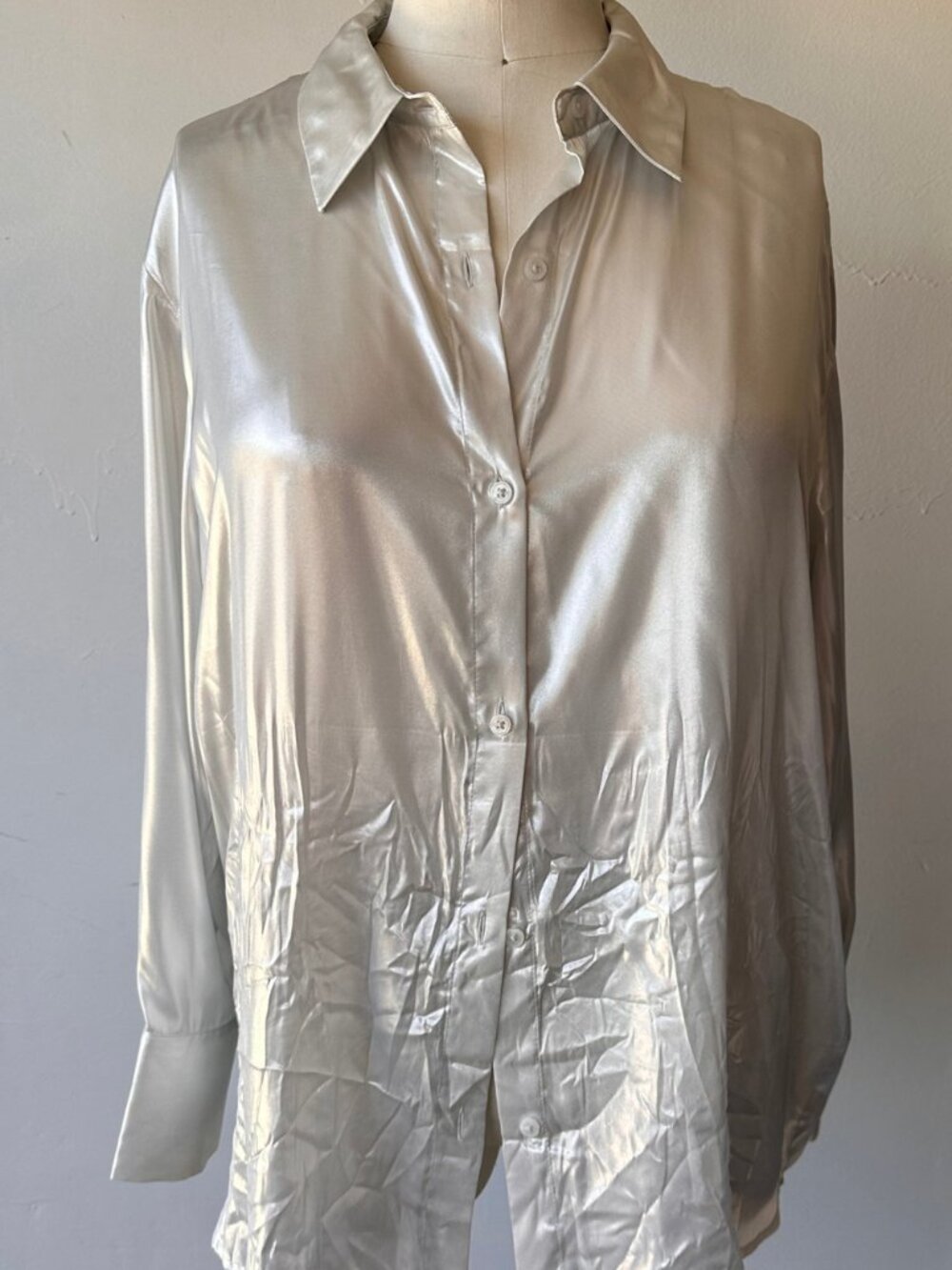 H&M button Down Pearlesent Top XL